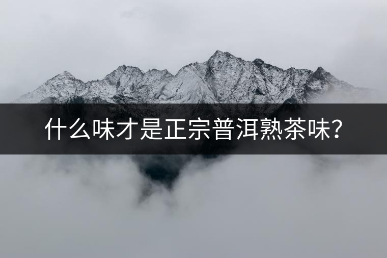 什么味才是正宗普洱熟茶味？