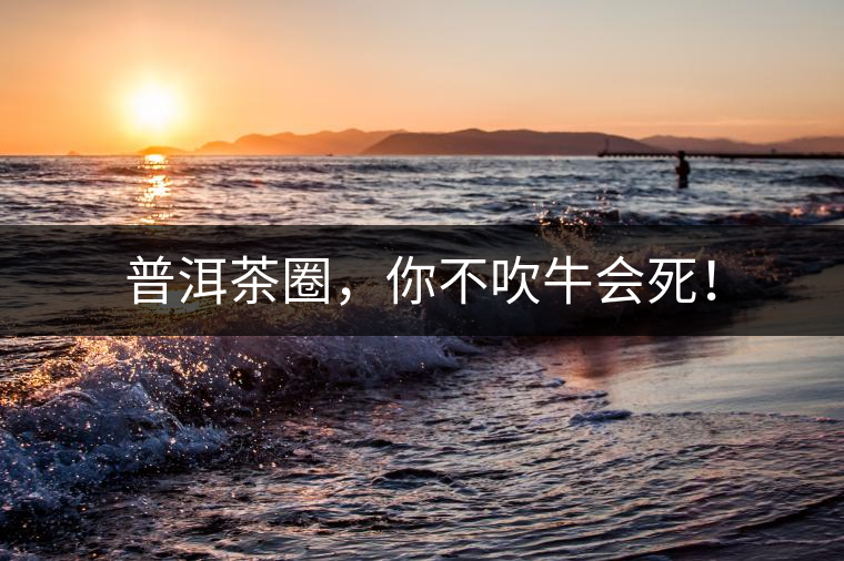 普洱茶圈，你不吹牛會死！