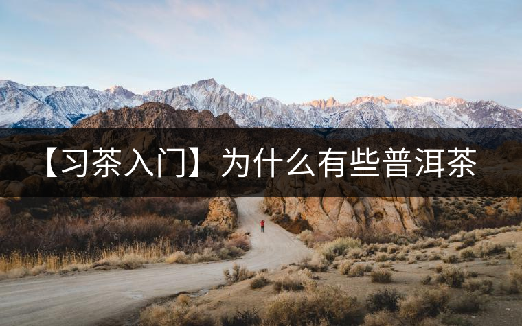 【習(xí)茶入門】為什么有些普洱茶會發(fā)酸？