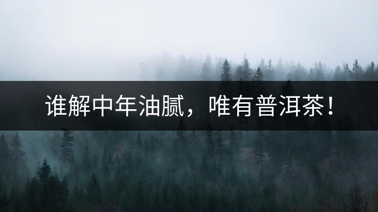 誰(shuí)解中年油膩，唯有普洱茶！