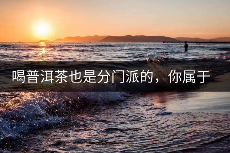 喝普洱茶也是分門派的，你屬于哪派呢？