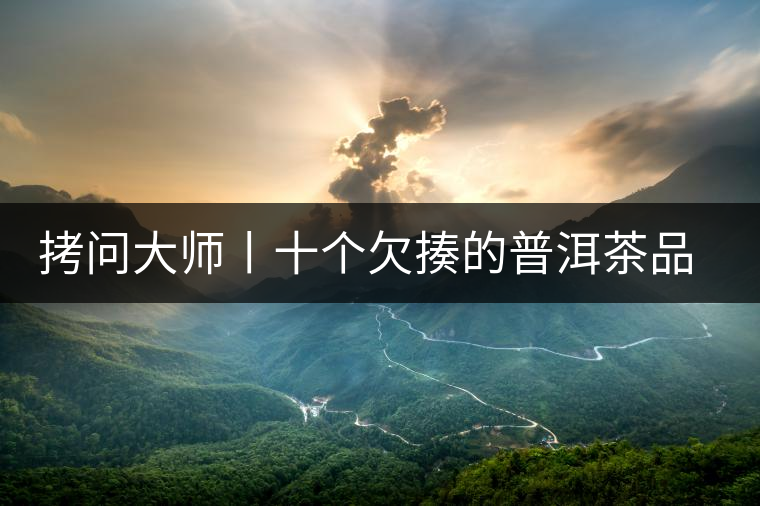 拷問大師丨十個欠揍的普洱茶品評用詞