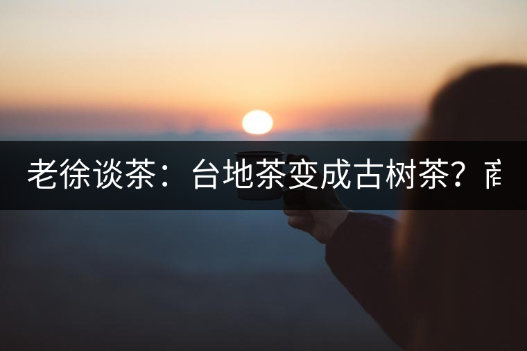 老徐談茶：臺地茶變成古樹茶？商家用這4招騙過你(2)