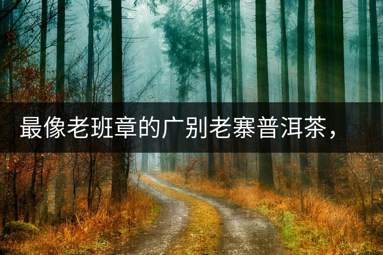 最像老班章的廣別老寨普洱茶，卻是冰島派來的臥底