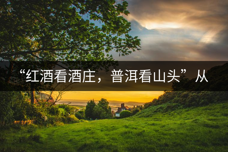 “紅酒看酒莊，普洱看山頭”從這里秒懂普洱茶的未來