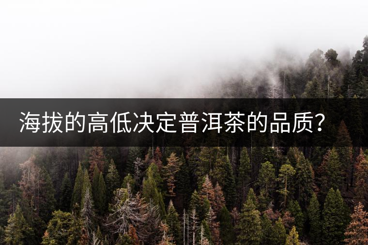 海拔的高低決定普洱茶的品質(zhì)？【附：名山頭茶海拔表】