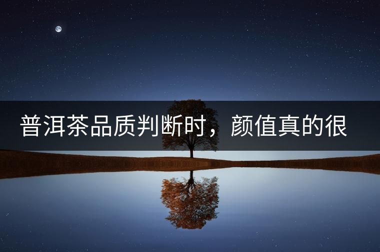 普洱茶品質(zhì)判斷時，顏值真的很重要嗎？