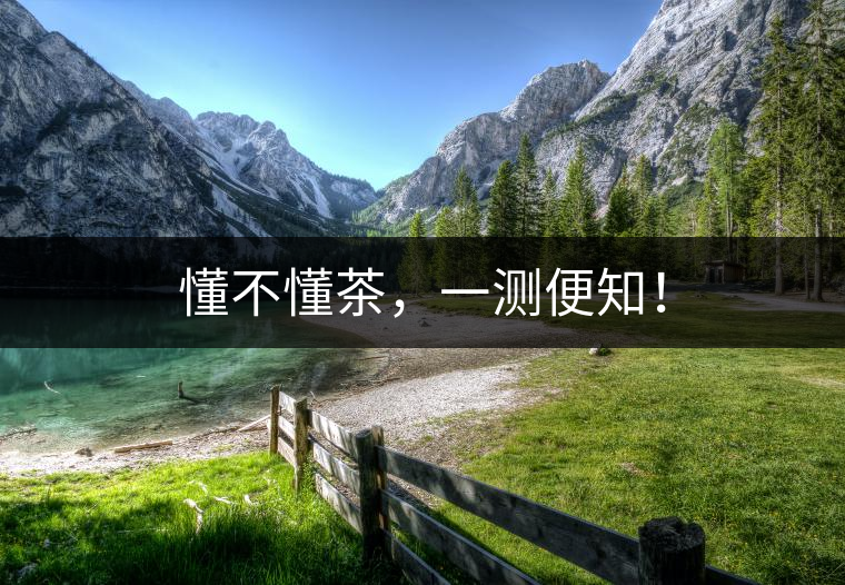 懂不懂茶，一測便知！