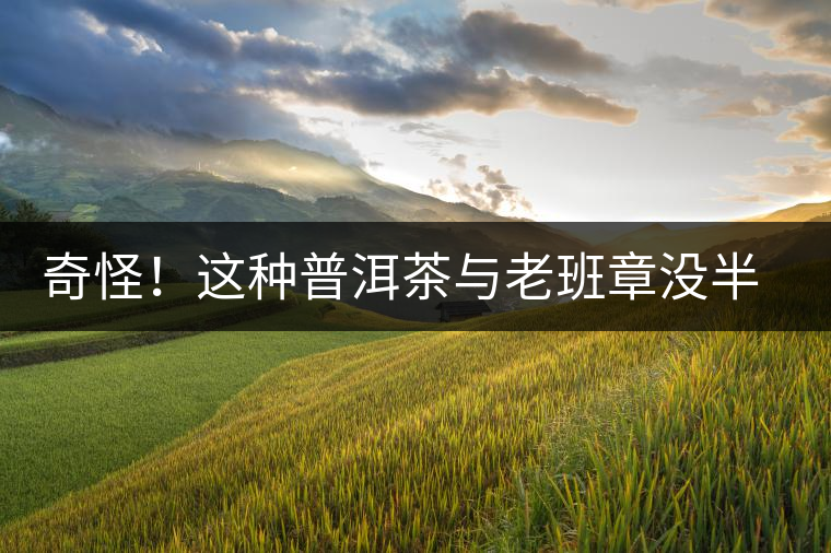 奇怪！這種普洱茶與老班章沒半毛錢關(guān)系，為啥很多人誤解？