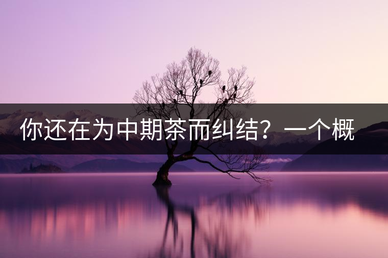 你還在為中期茶而糾結(jié)？一個概念罷了