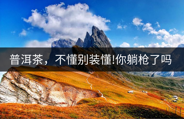 普洱茶，不懂別裝懂!你躺槍了嗎?