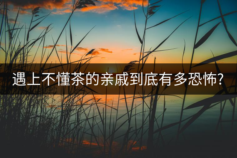 遇上不懂茶的親戚到底有多恐怖?千萬(wàn)別用喝茶來(lái)考驗(yàn)?zāi)愕挠H情!