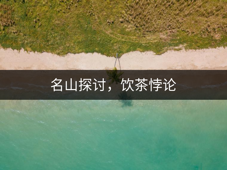 名山探討，飲茶悖論