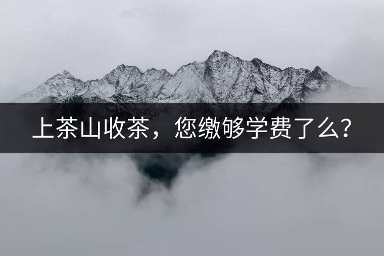 上茶山收茶，您繳夠學費了么？