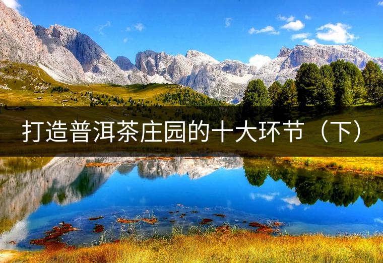打造普洱茶莊園的十大環(huán)節(jié)（下）
