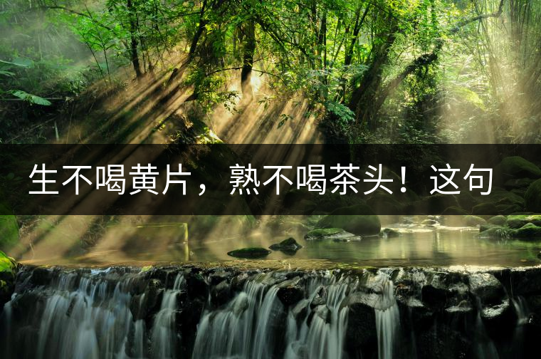生不喝黃片，熟不喝茶頭！這句話你了解多少？