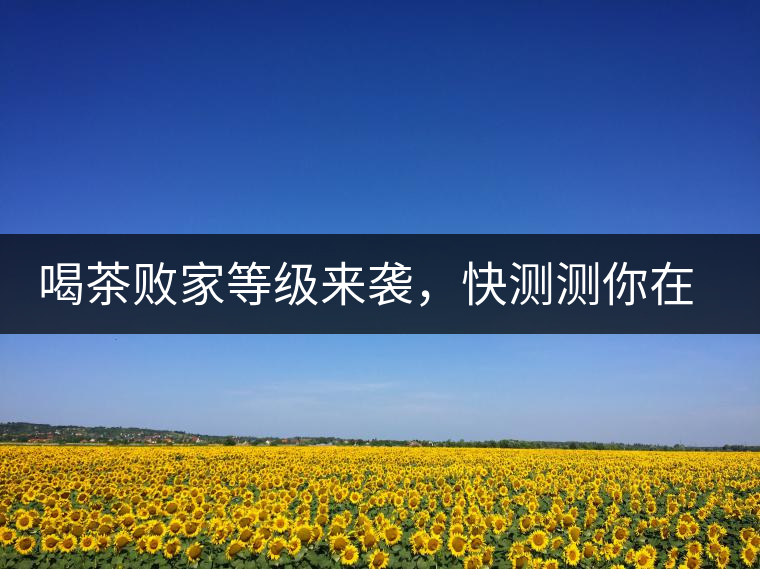 喝茶敗家等級(jí)來(lái)襲，快測(cè)測(cè)你在哪一級(jí)？