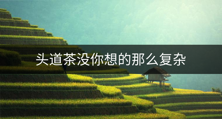 頭道茶沒你想的那么復(fù)雜