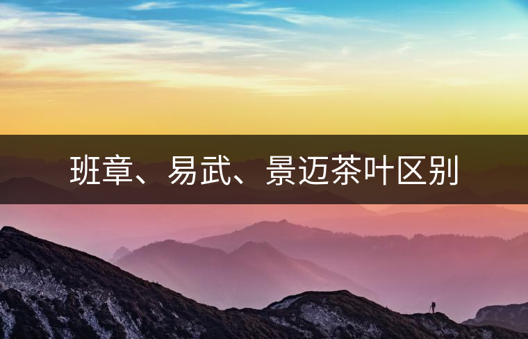 班章、易武、景邁茶葉區(qū)別