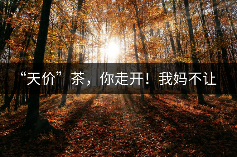 “天價(jià)”茶，你走開！我媽不讓我跟你玩！