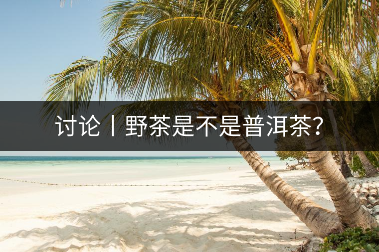 討論丨野茶是不是普洱茶？