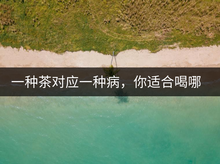 一種茶對(duì)應(yīng)一種病，你適合喝哪一種呢？