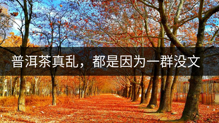 普洱茶真亂，都是因為一群沒文化的人在瞎搞？真敢說！