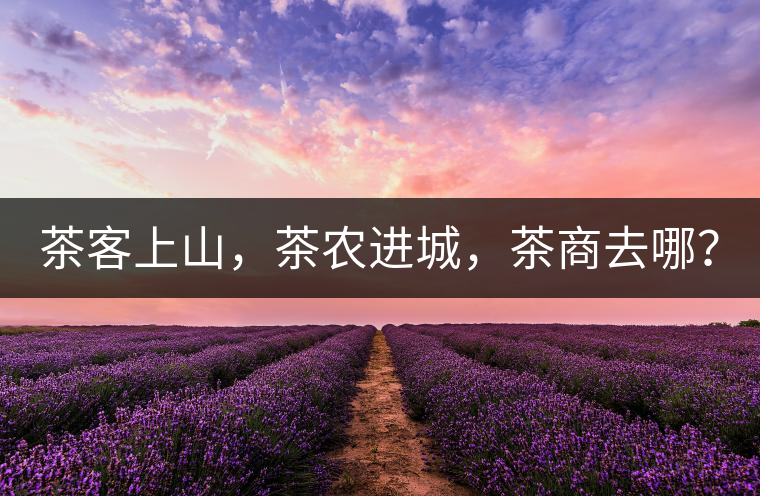 茶客上山，茶農(nóng)進(jìn)城，茶商去哪？
