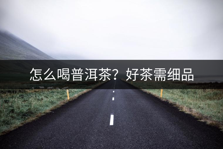 怎么喝普洱茶？好茶需細品