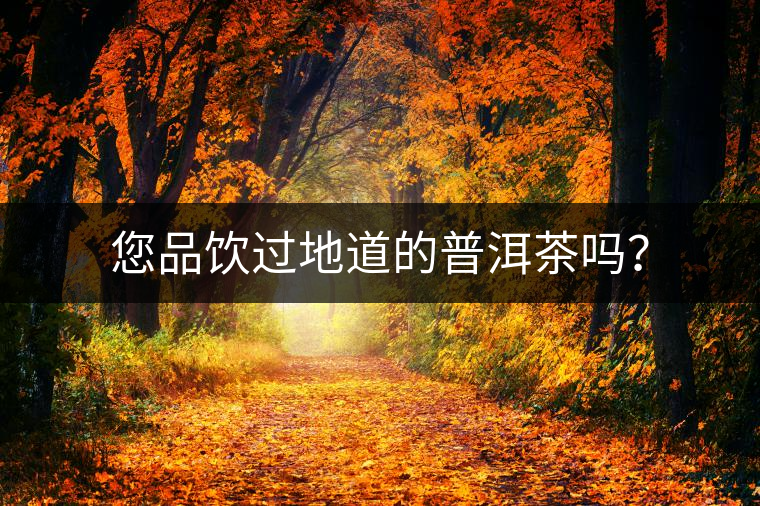 您品飲過地道的普洱茶嗎？