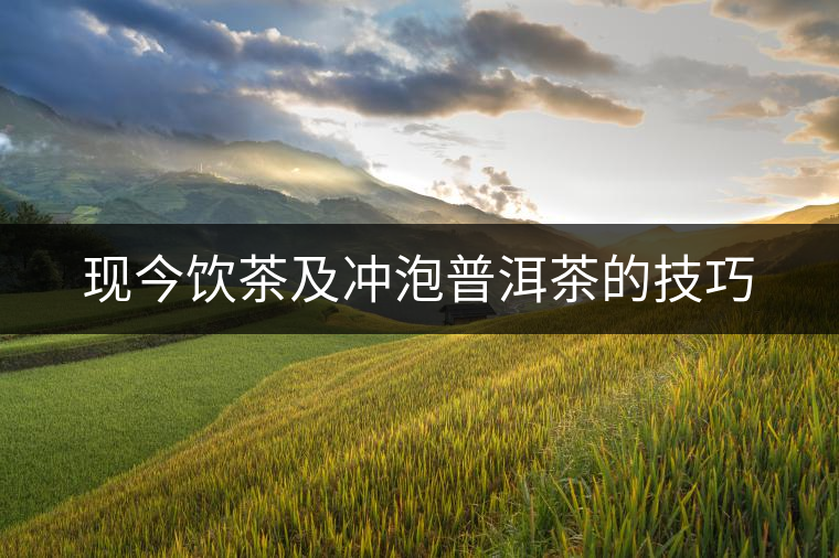 現(xiàn)今飲茶及沖泡普洱茶的技巧