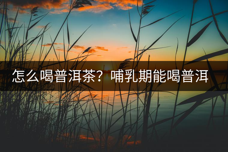 怎么喝普洱茶？哺乳期能喝普洱茶嗎？