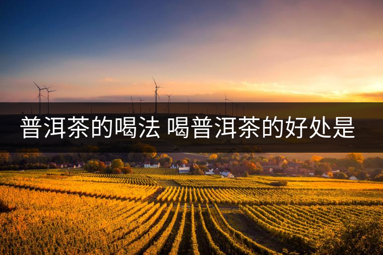 普洱茶的喝法 喝普洱茶的好處是什么？