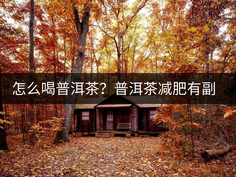 怎么喝普洱茶？普洱茶減肥有副作用嗎？