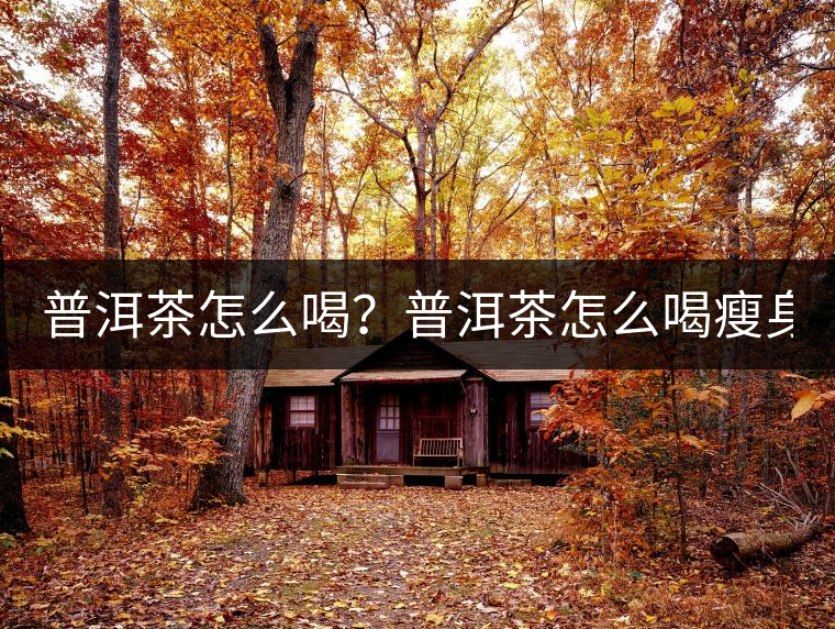 普洱茶怎么喝？普洱茶怎么喝瘦身？