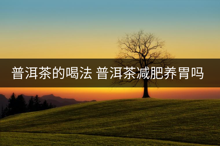 普洱茶的喝法 普洱茶減肥養(yǎng)胃嗎？