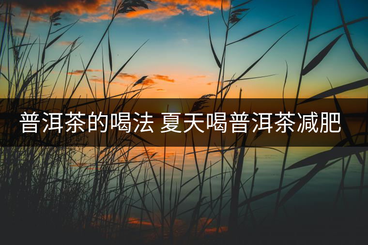 普洱茶的喝法 夏天喝普洱茶減肥嗎？