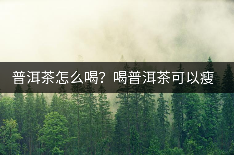 普洱茶怎么喝？喝普洱茶可以瘦腹嗎？