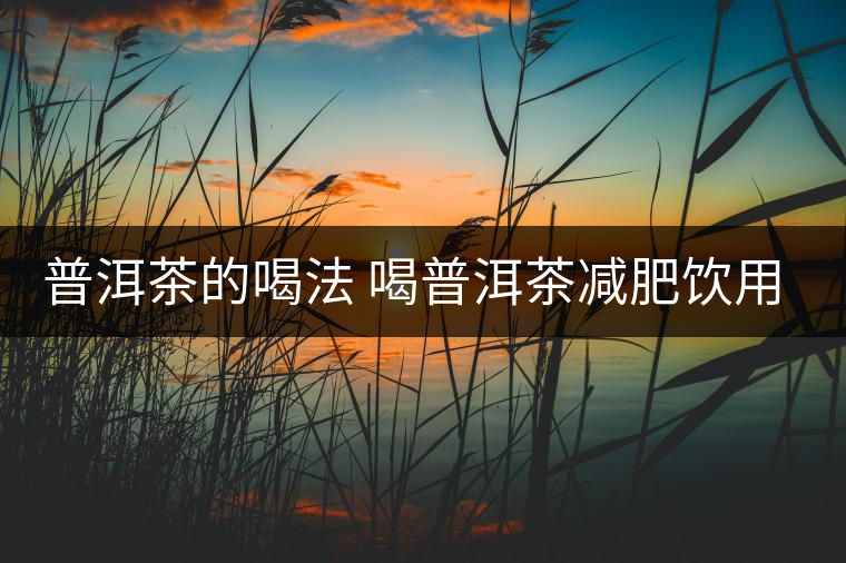 普洱茶的喝法 喝普洱茶減肥飲用方法 普洱茶的喝法 喝普洱茶減肥飲用方法