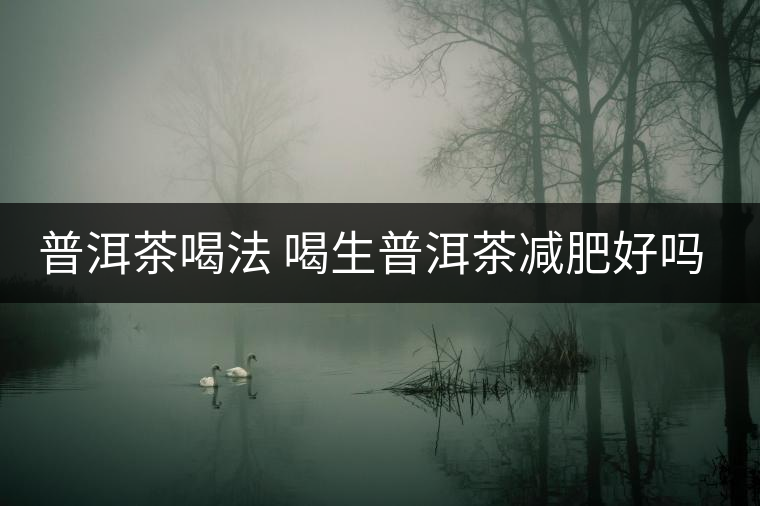 普洱茶喝法 喝生普洱茶減肥好嗎？
