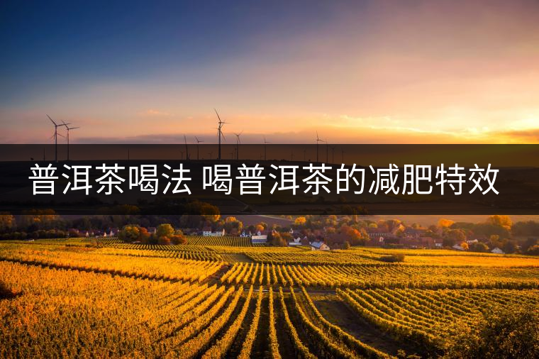 普洱茶喝法 喝普洱茶的減肥特效是什么呢？