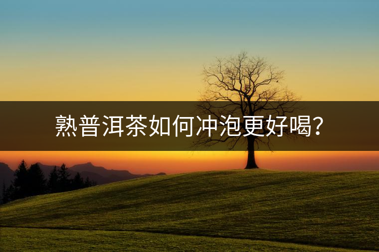 熟普洱茶如何沖泡更好喝？