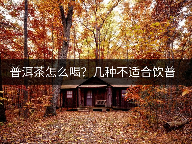普洱茶怎么喝？幾種不適合飲普洱茶的人群