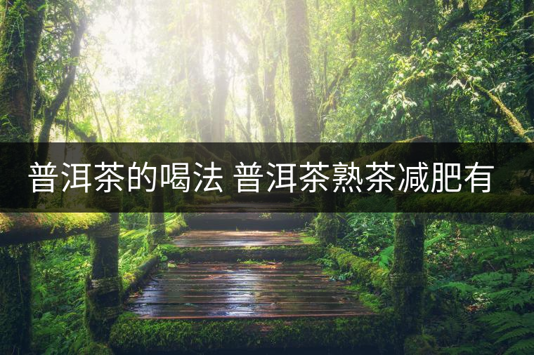 普洱茶的喝法 普洱茶熟茶減肥有什么效果嗎？