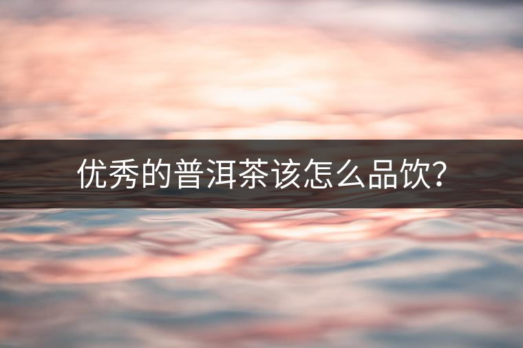 優(yōu)秀的普洱茶該怎么品飲？
