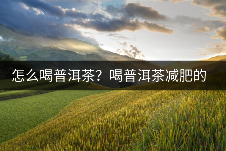 怎么喝普洱茶？喝普洱茶減肥的注意事項(xiàng)