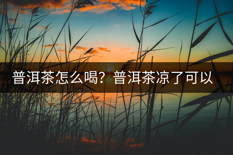 普洱茶怎么喝？普洱茶涼了可以喝嗎？