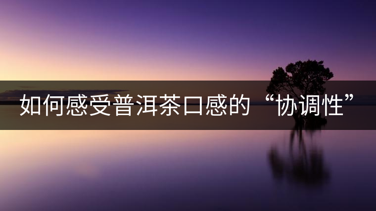 如何感受普洱茶口感的“協(xié)調(diào)性”？