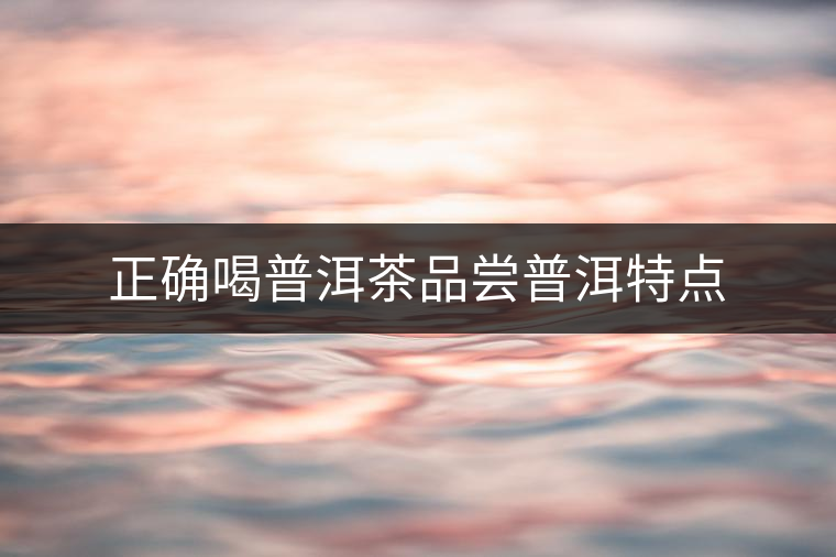正確喝普洱茶品嘗普洱特點 正確喝普洱茶品嘗普洱特點
