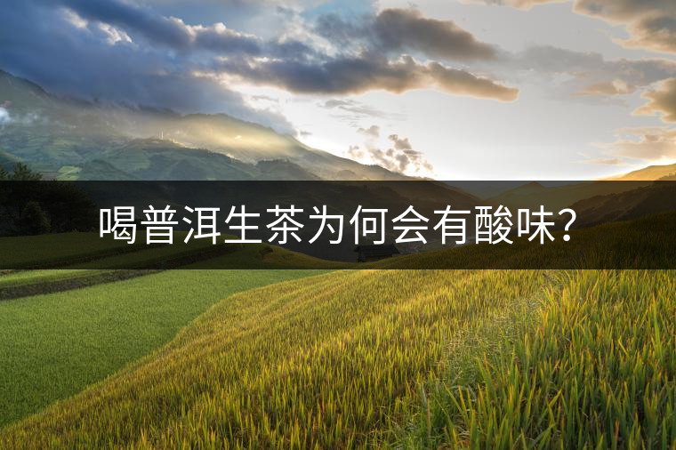 喝普洱生茶為何會(huì)有酸味？